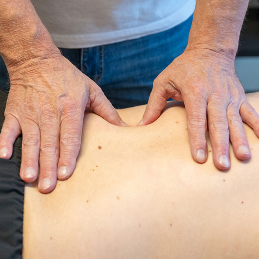 Reflow: Neurostructurele Integratie Therapie (NST)